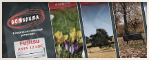 Web design Domklima